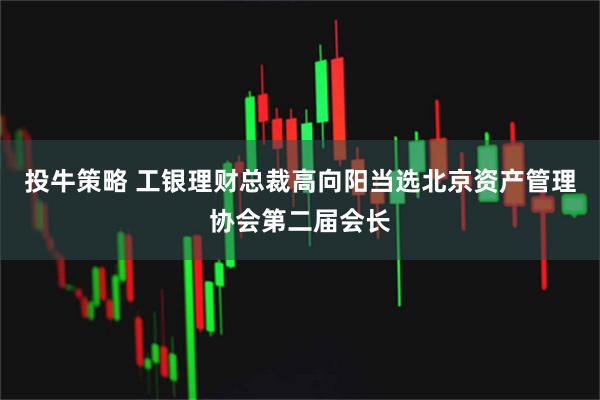 投牛策略 工银理财总裁高向阳当选北京资产管理协会第二届会长