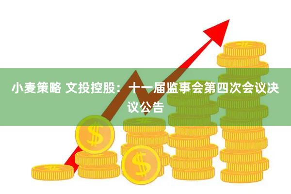 小麦策略 文投控股：十一届监事会第四次会议决议公告