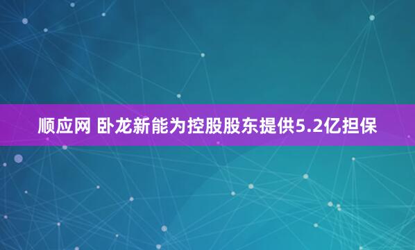 顺应网 卧龙新能为控股股东提供5.2亿担保