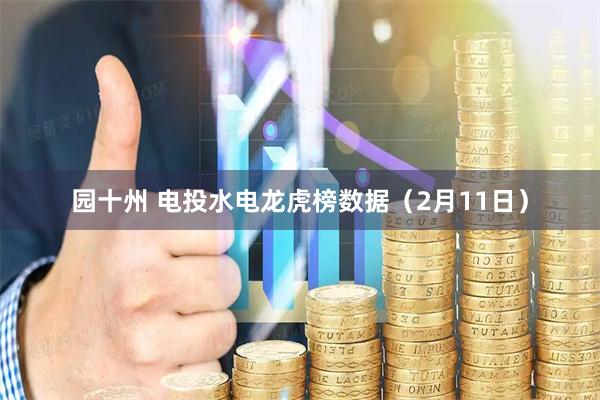 园十州 电投水电龙虎榜数据（2月11日）