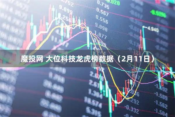 魔投网 大位科技龙虎榜数据（2月11日）