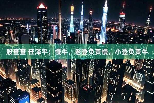 股查查 任泽平：慢牛，老登负责慢，小登负责牛