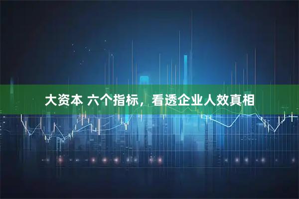 大资本 六个指标，看透企业人效真相