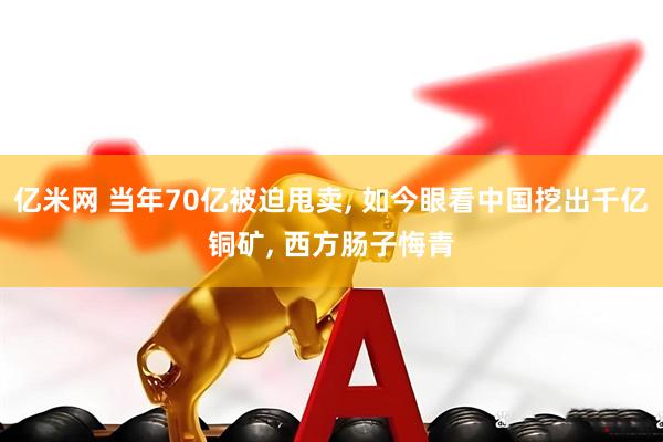 亿米网 当年70亿被迫甩卖, 如今眼看中国挖出千亿铜矿, 西方肠子悔青